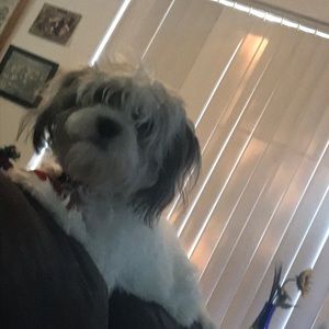 Meet your Posher, Nichole